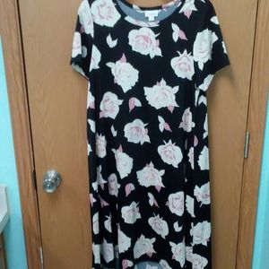 Lularoe floral Carly dress